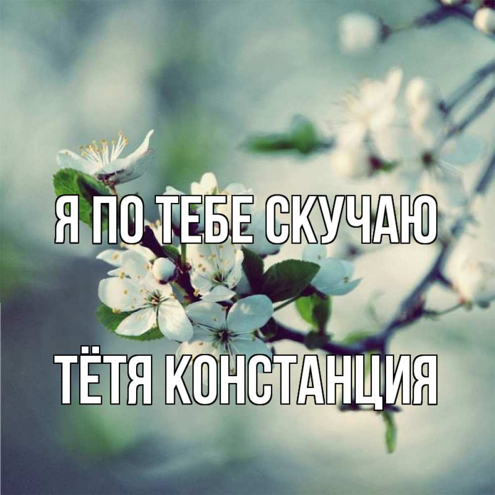Открытка на каждый день с именем, Тётя-Констанция Я по тебе скучаю весна Прикольная открытка с пожеланием онлайн скачать бесплатно 