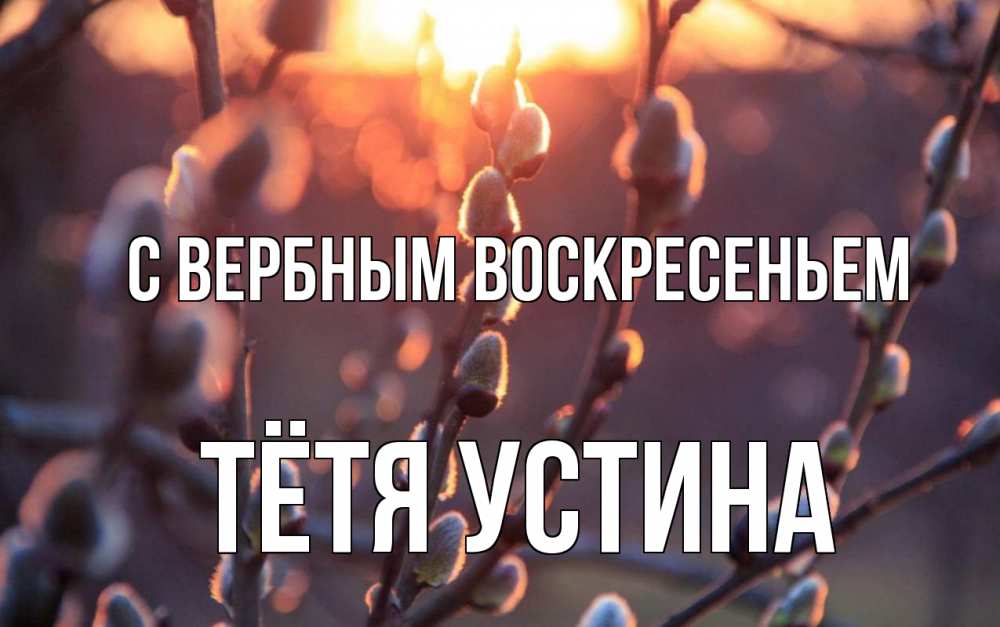 Открытка на каждый день с именем, Тётя-Устина С вербным воскресеньем верба Прикольная открытка с пожеланием онлайн скачать бесплатно 