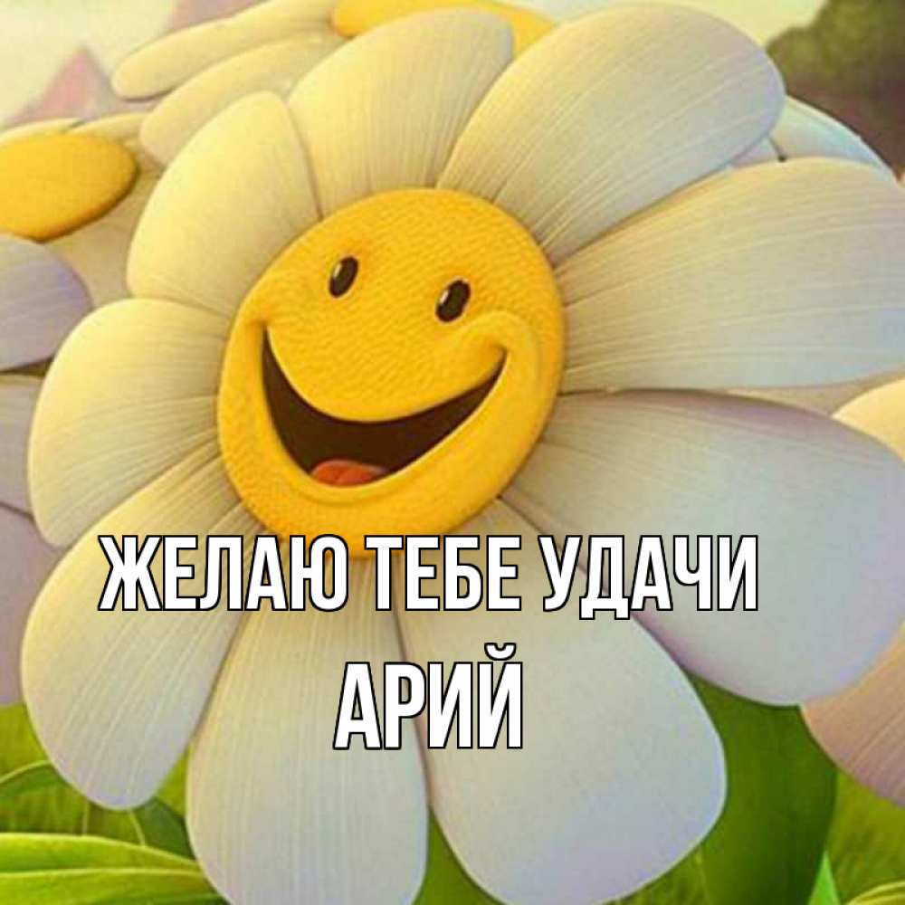 Открытка на каждый день с именем, Арий Желаю тебе удачи подписать открытку своим текстом Прикольная открытка с пожеланием онлайн скачать бесплатно 