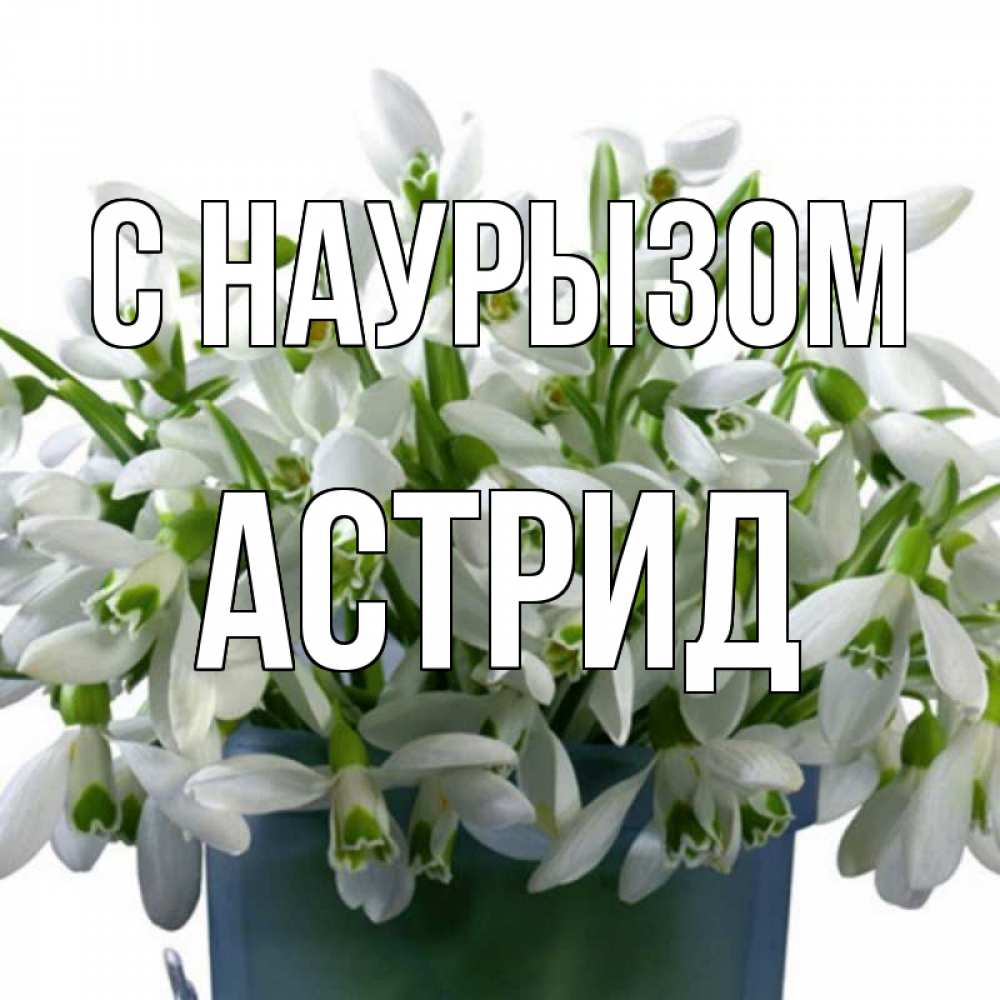 Открытка на каждый день с именем, Астрид С наурызом цветы к наурызу новый год в Казахстане Прикольная открытка с пожеланием онлайн скачать бесплатно 