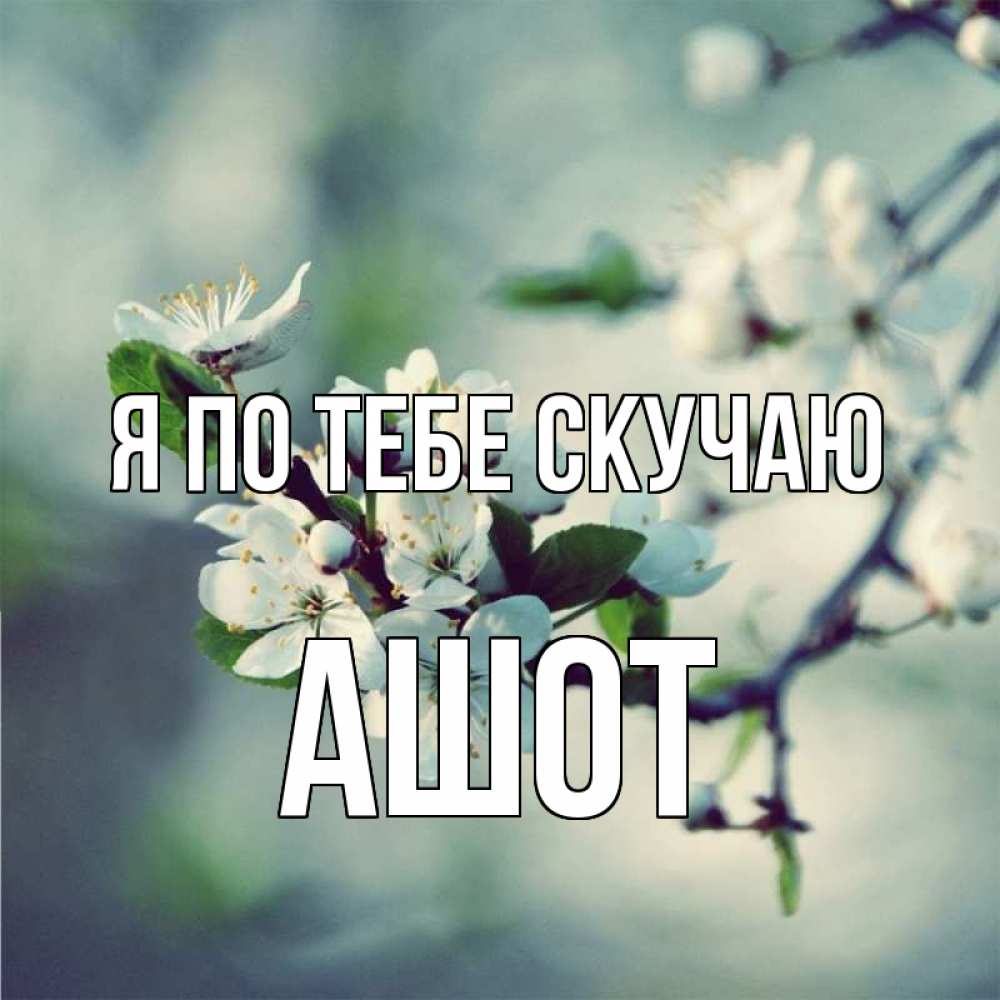 Открытка на каждый день с именем, Ашот Я по тебе скучаю весна Прикольная открытка с пожеланием онлайн скачать бесплатно 