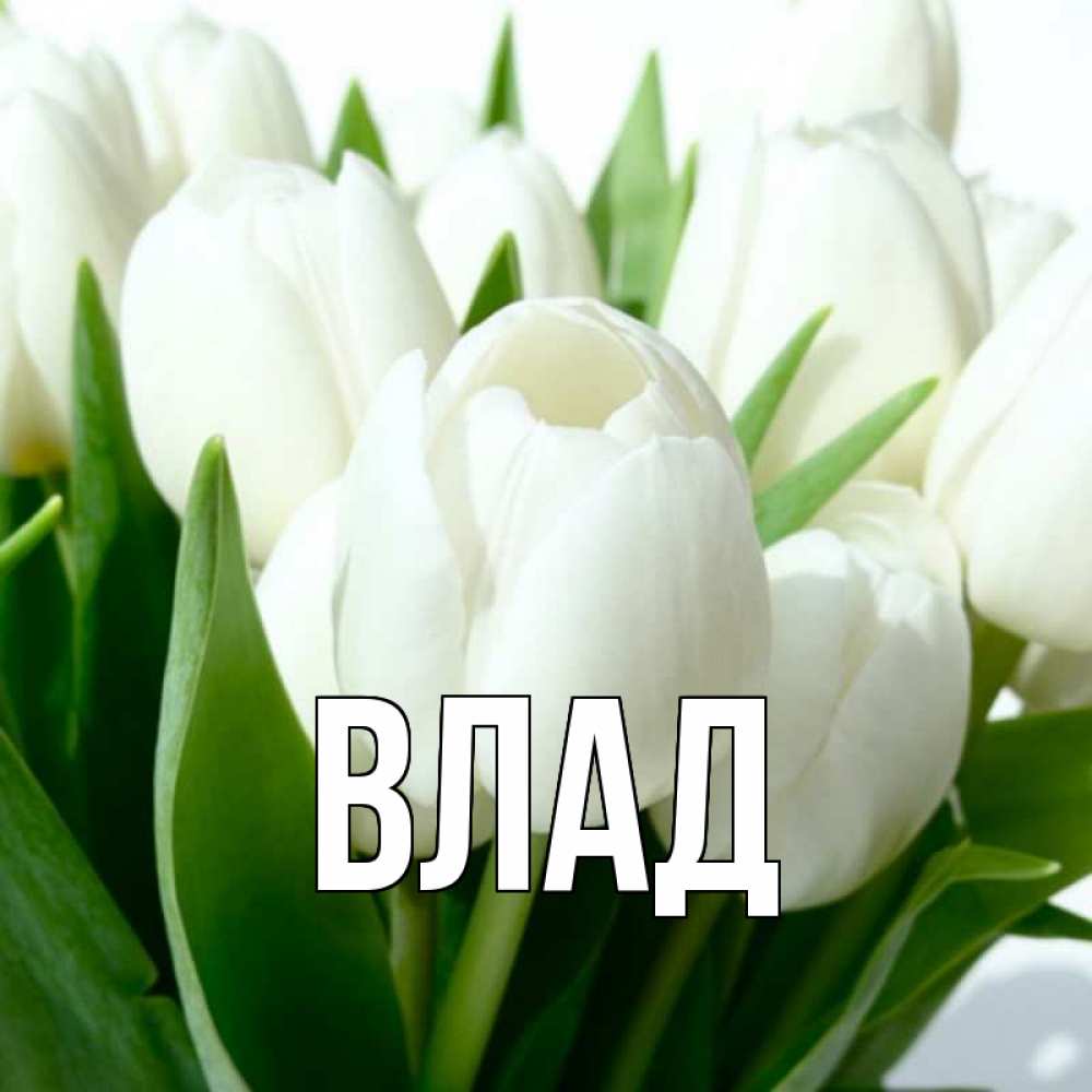 Картинка  с именем , Влад