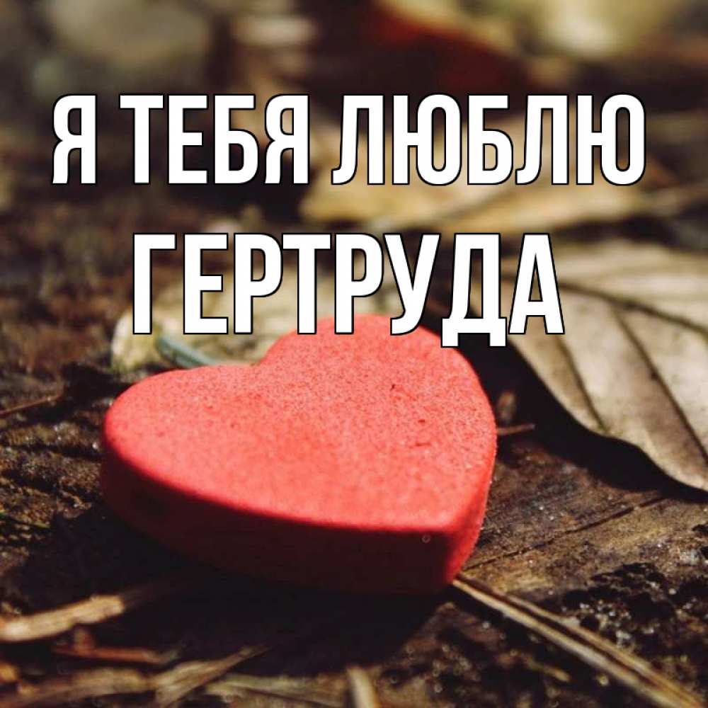 Открытка на каждый день с именем, Гертруда Я тебя люблю листья деревье 4 Прикольная открытка с пожеланием онлайн скачать бесплатно 