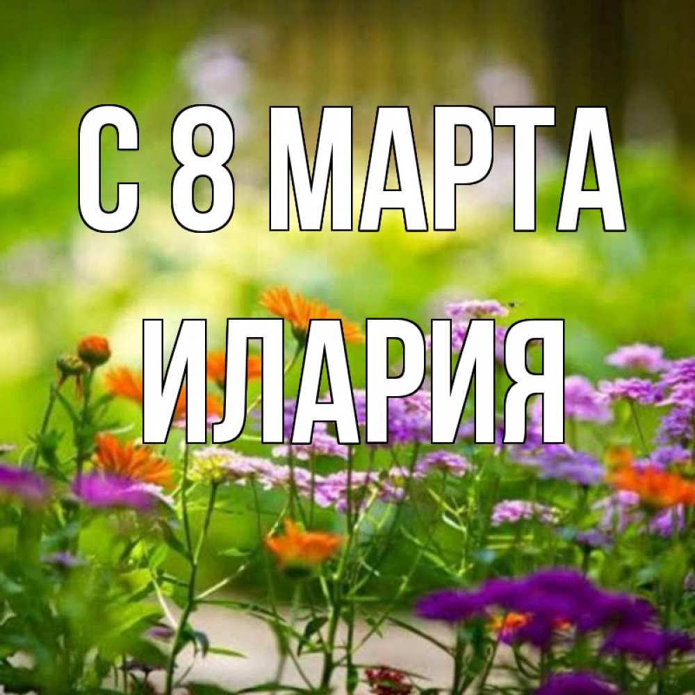 Открытка на каждый день с именем, Илария С 8 МАРТА цветы Прикольная открытка с пожеланием онлайн скачать бесплатно 