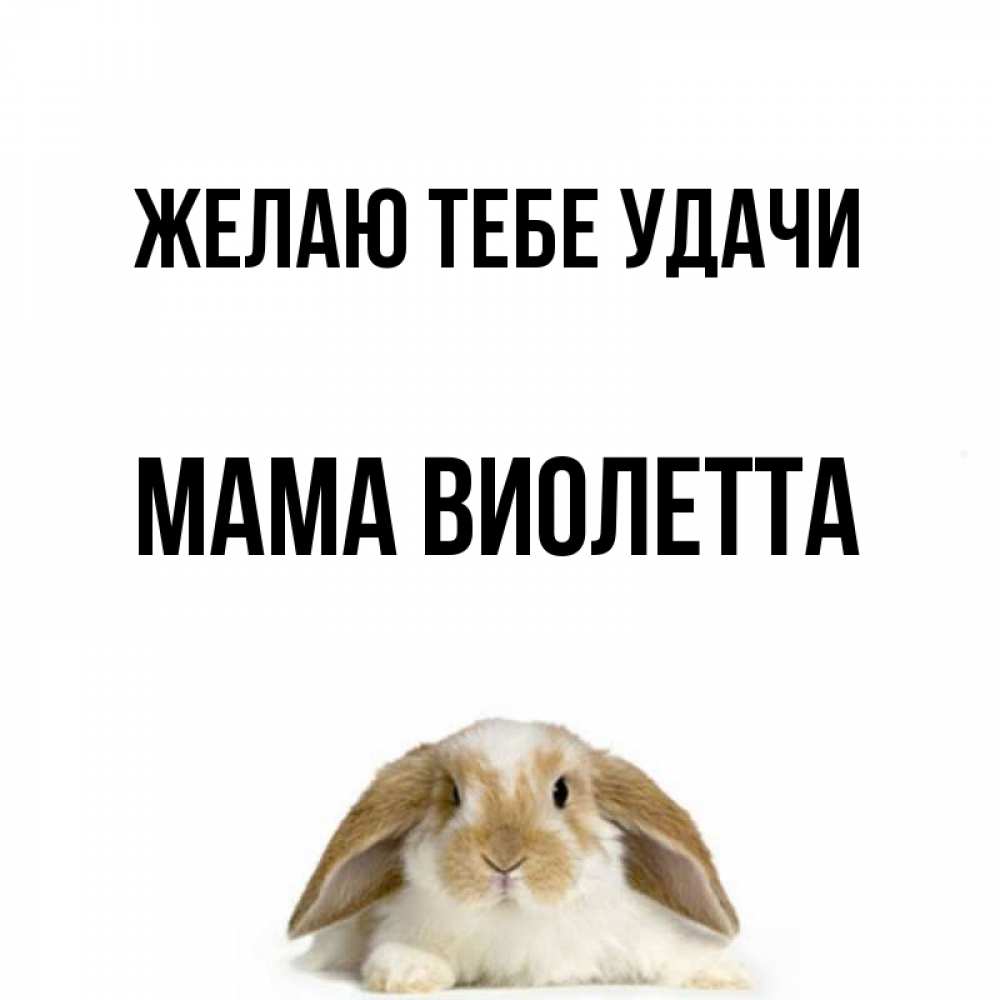 Открытка на каждый день с именем, Мама-Виолетта Желаю тебе удачи открытки с произвольным текстом который можно вставить в открытку и создать ее самостоятельно бесплатно онлайн Прикольная открытка с пожеланием онлайн скачать бесплатно 