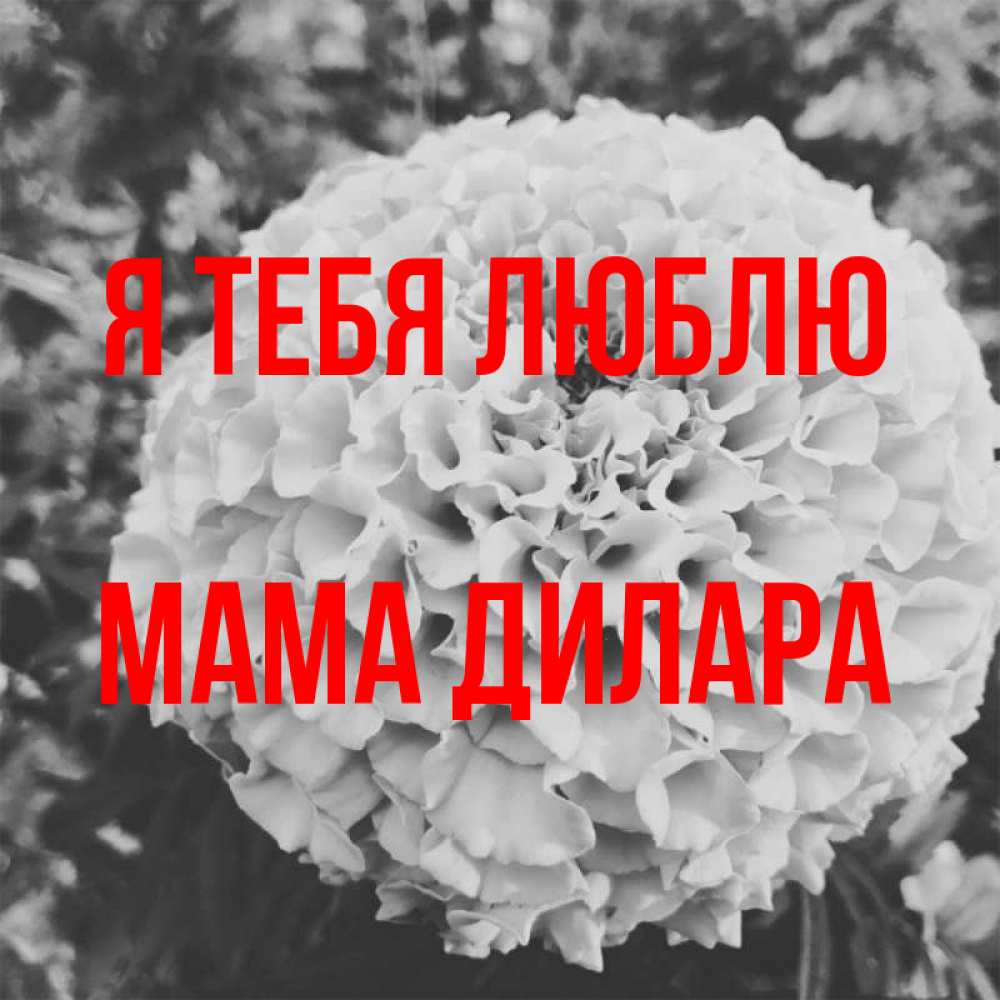 Открытка на каждый день с именем, Мама-Дилара Я тебя люблю подпись Прикольная открытка с пожеланием онлайн скачать бесплатно 