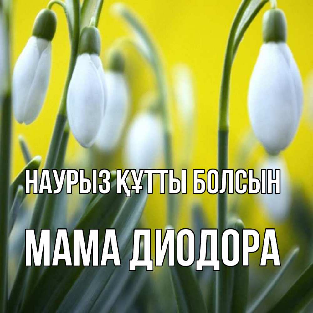 Открытка на каждый день с именем, Мама-Диодора Наурыз құтты болсын весенние цветы Прикольная открытка с пожеланием онлайн скачать бесплатно 