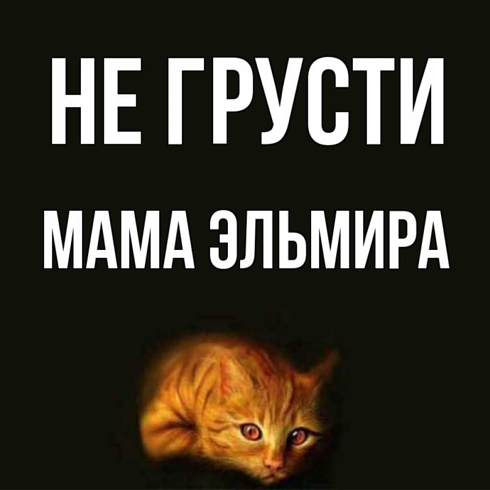 Открытка на каждый день с именем, Мама-Эльмира Не грусти лежащий кот в темноте Прикольная открытка с пожеланием онлайн скачать бесплатно 