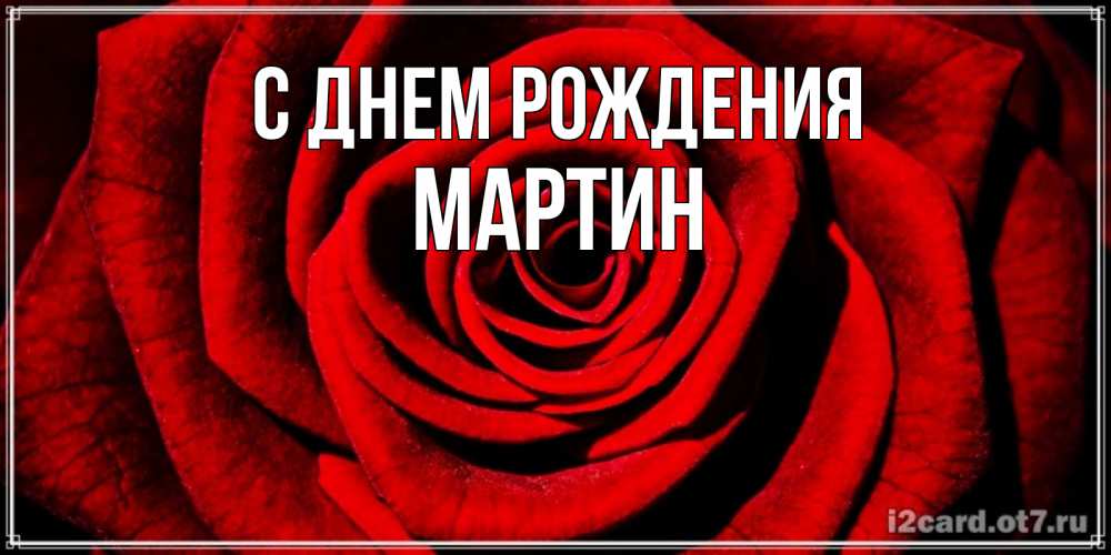 Открытка на каждый день с именем, Мартин С днем рождения алая роза Прикольная открытка с пожеланием онлайн скачать бесплатно 