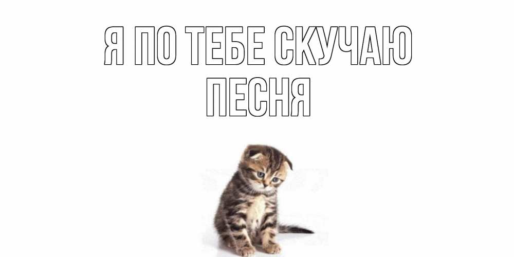 Открытка на каждый день с именем, Песня Я по тебе скучаю кот Прикольная открытка с пожеланием онлайн скачать бесплатно 
