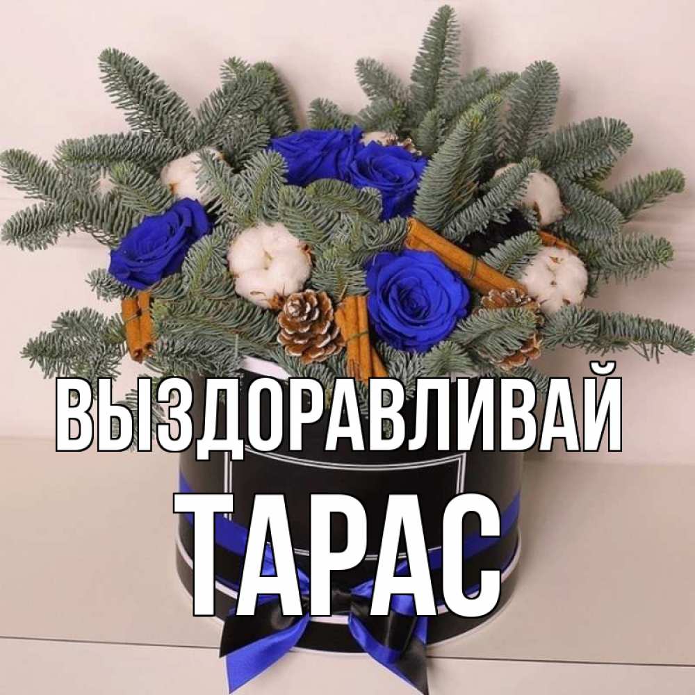Открытка на каждый день с именем, Тарас Выздоравливай короче кто то загрузил эти шишки Прикольная открытка с пожеланием онлайн скачать бесплатно 