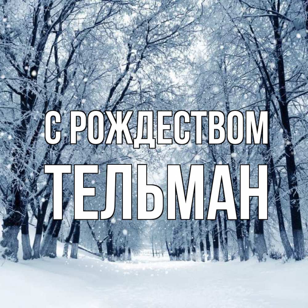 Открытка на каждый день с именем, Тельман С рождеством снег, лес, парк Прикольная открытка с пожеланием онлайн скачать бесплатно 