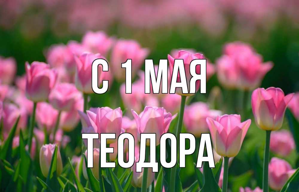 Открытка на каждый день с именем, Теодора С 1 мая С 1 мая Прикольная открытка с пожеланием онлайн скачать бесплатно 