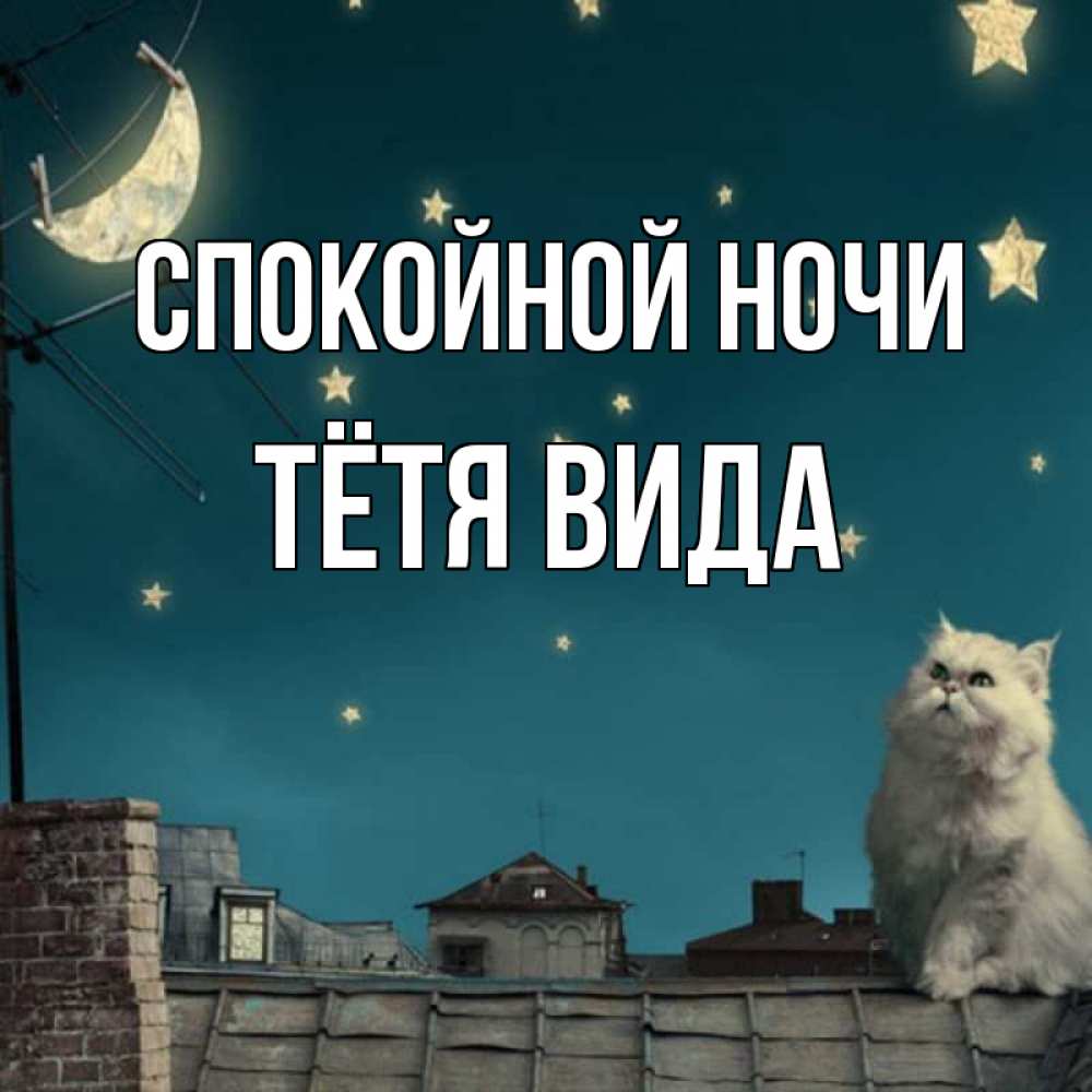 Открытка на каждый день с именем, Тётя-Вида Спокойной ночи белый кот сидит на крыше Прикольная открытка с пожеланием онлайн скачать бесплатно 
