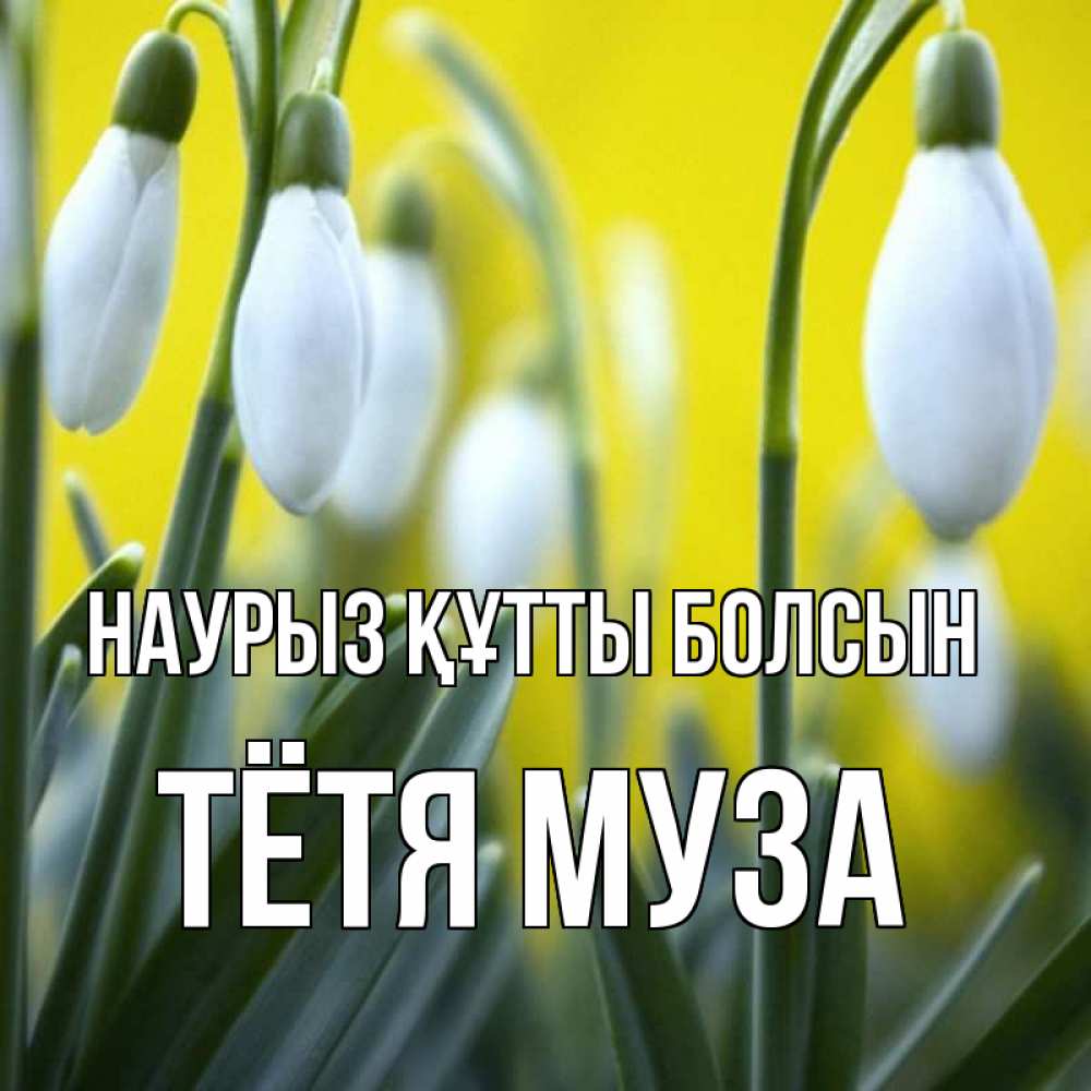 Открытка на каждый день с именем, Тётя-Муза Наурыз құтты болсын весенние цветы Прикольная открытка с пожеланием онлайн скачать бесплатно 