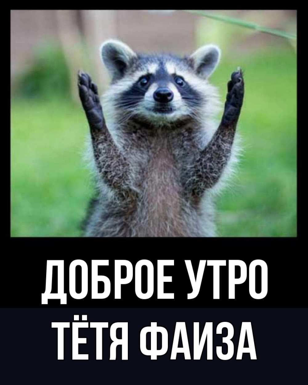 Открытка на каждый день с именем, Тётя-Фаиза Доброе утро хорошее настроение утречком Прикольная открытка с пожеланием онлайн скачать бесплатно 