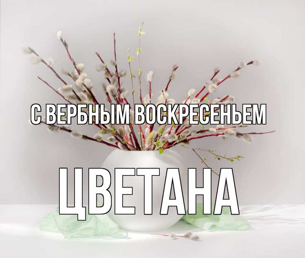 Открытка на каждый день с именем, Цветана С вербным воскресеньем верба Прикольная открытка с пожеланием онлайн скачать бесплатно 