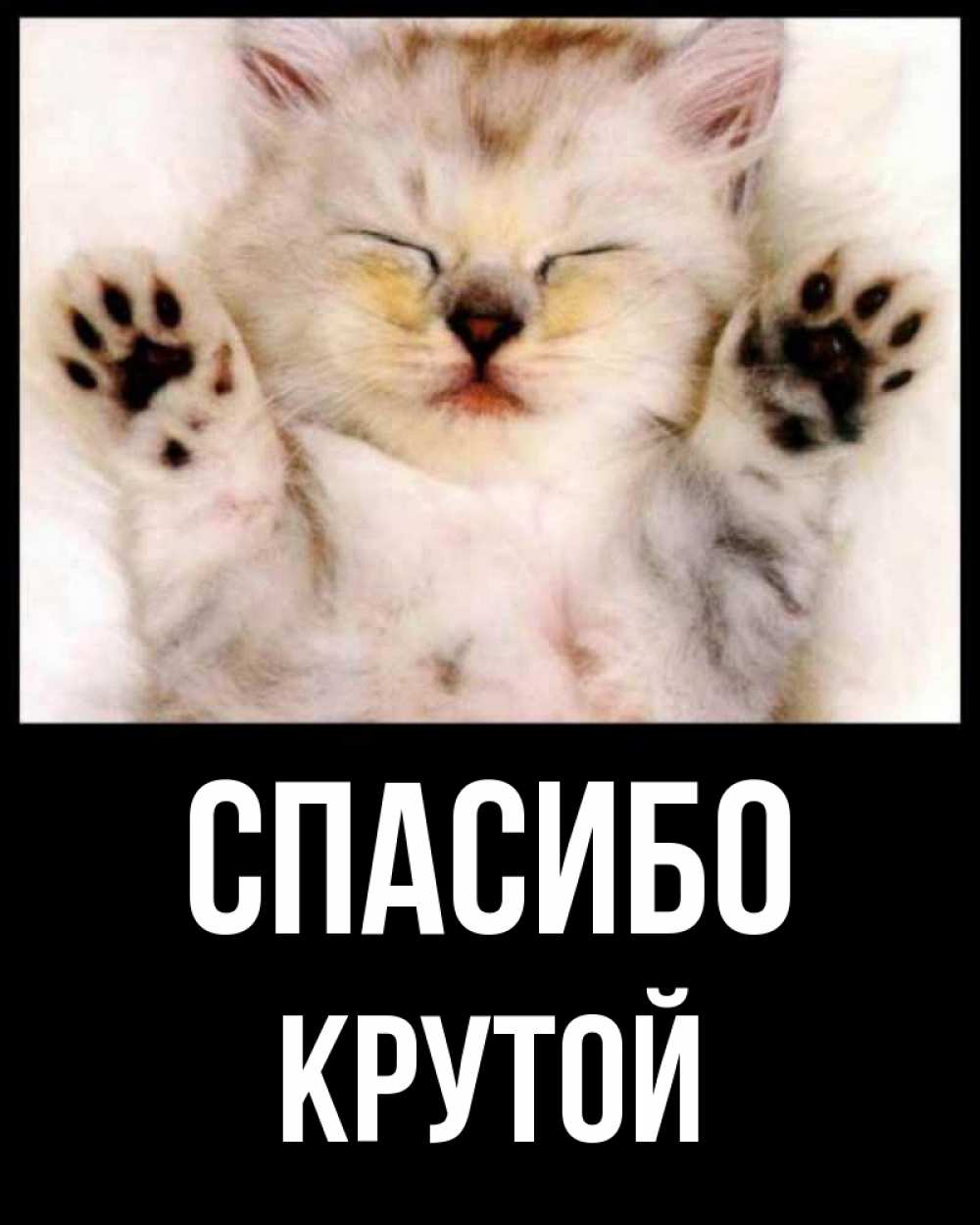 Круто спасибо