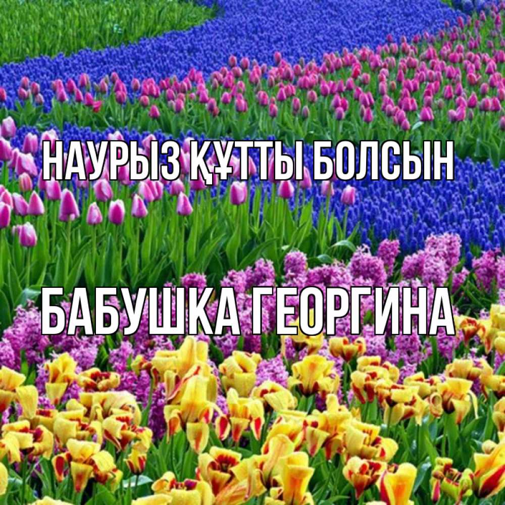 Открытка на каждый день с именем, Бабушка-Георгина Наурыз құтты болсын цветы Прикольная открытка с пожеланием онлайн скачать бесплатно 