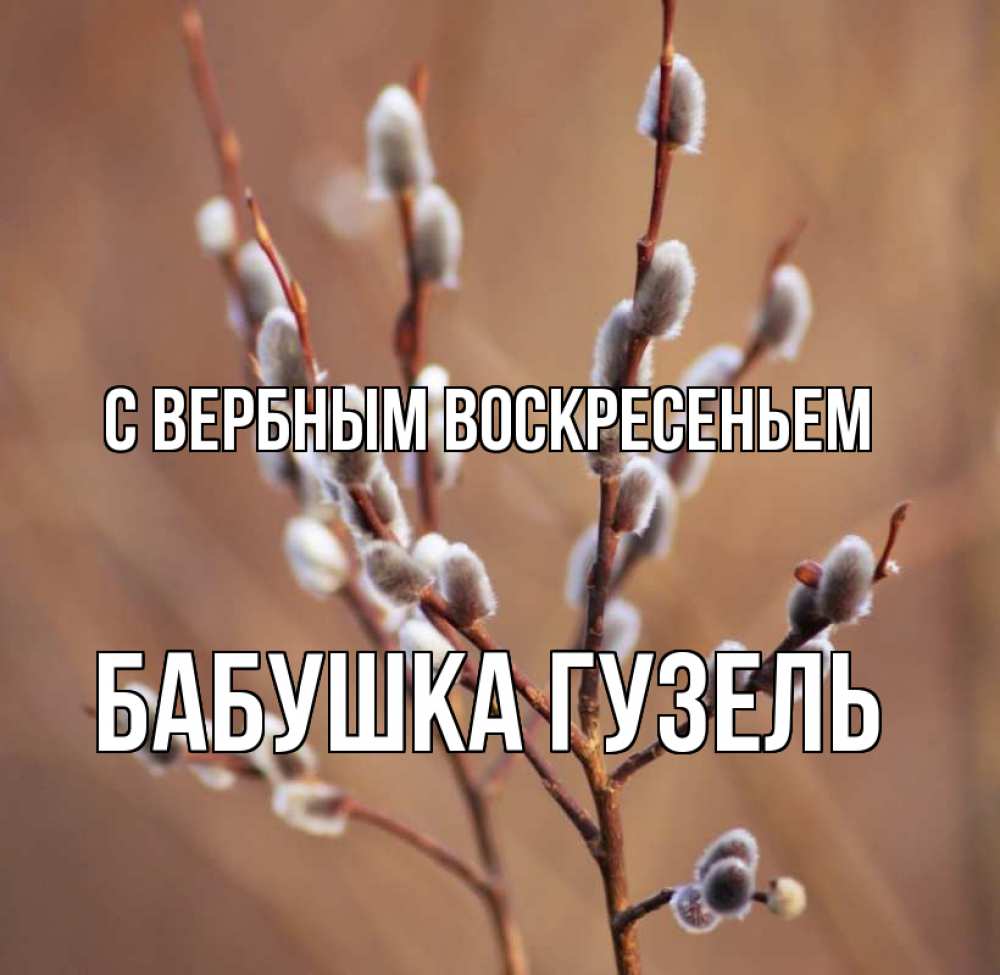 Открытка на каждый день с именем, Бабушка-Гузель С вербным воскресеньем верба Прикольная открытка с пожеланием онлайн скачать бесплатно 