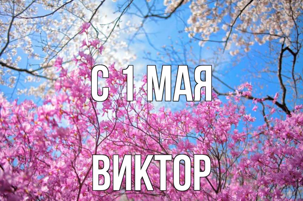 Открытка на каждый день с именем, Виктор С 1 мая С 1 мая Прикольная открытка с пожеланием онлайн скачать бесплатно 