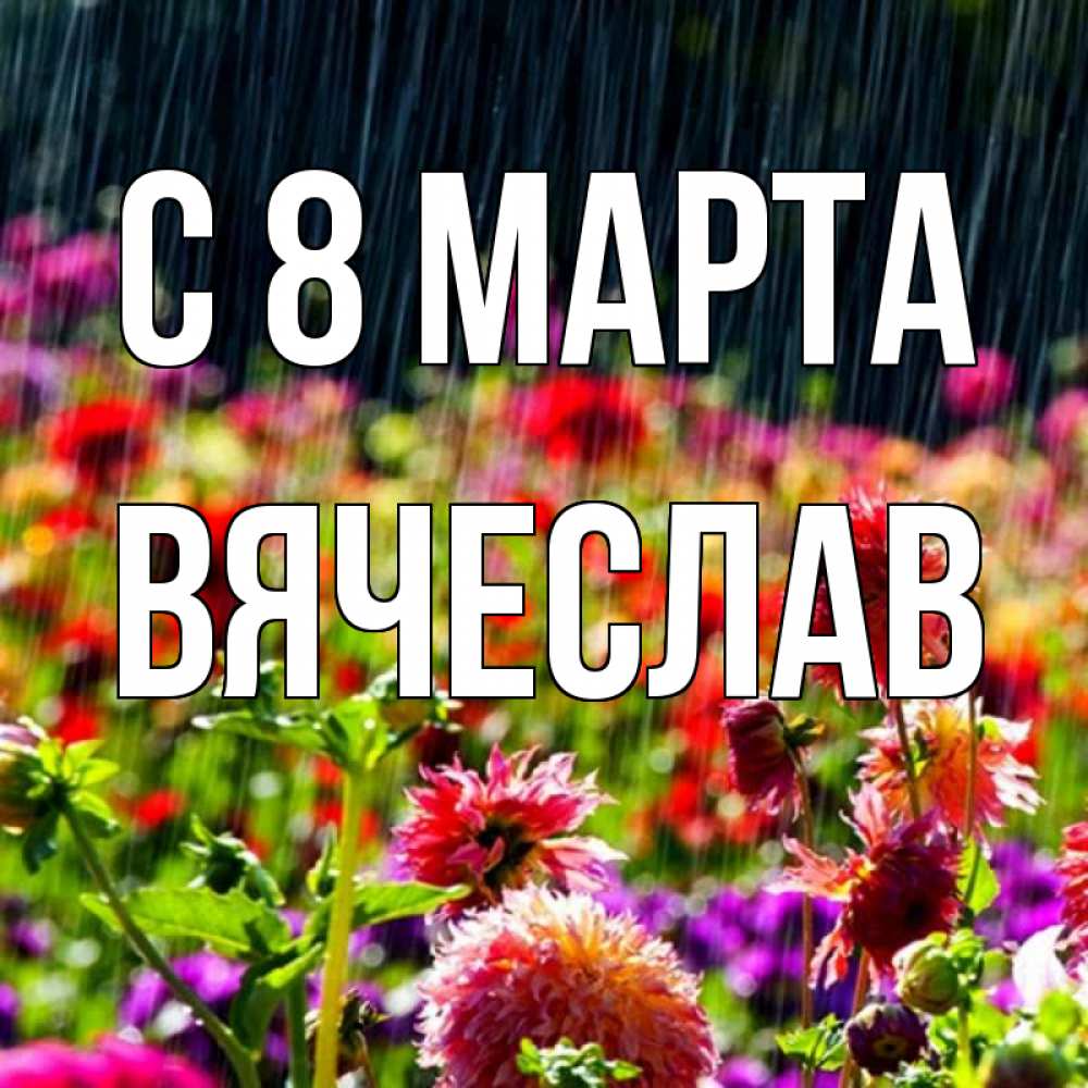 Открытка на каждый день с именем, Вячеслав С 8 МАРТА цветы под дождиком к международному женскому дню Прикольная открытка с пожеланием онлайн скачать бесплатно 