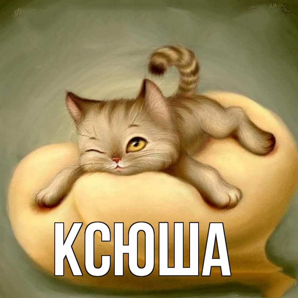 Открытка на каждый день с именем, Ксюша Главная кошечка Прикольная открытка с пожеланием онлайн скачать бесплатно 