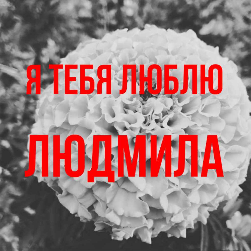 Открытка на каждый день с именем, Людмила Я тебя люблю подпись Прикольная открытка с пожеланием онлайн скачать бесплатно 