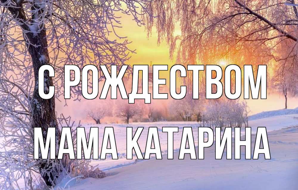 Открытка на каждый день с именем, Мама-Катарина С рождеством рождество, лес, зима 1 Прикольная открытка с пожеланием онлайн скачать бесплатно 