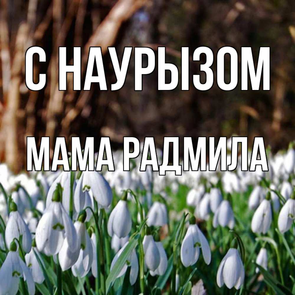 Открытка на каждый день с именем, Мама-Радмила С наурызом с подснежниками 1 Прикольная открытка с пожеланием онлайн скачать бесплатно 