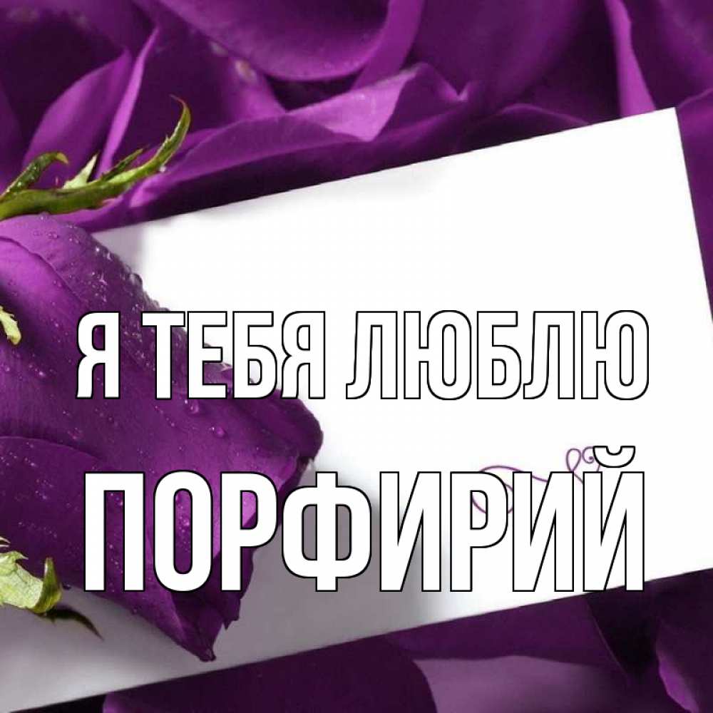 Открытка на каждый день с именем, Порфирий Я тебя люблю роза Прикольная открытка с пожеланием онлайн скачать бесплатно 