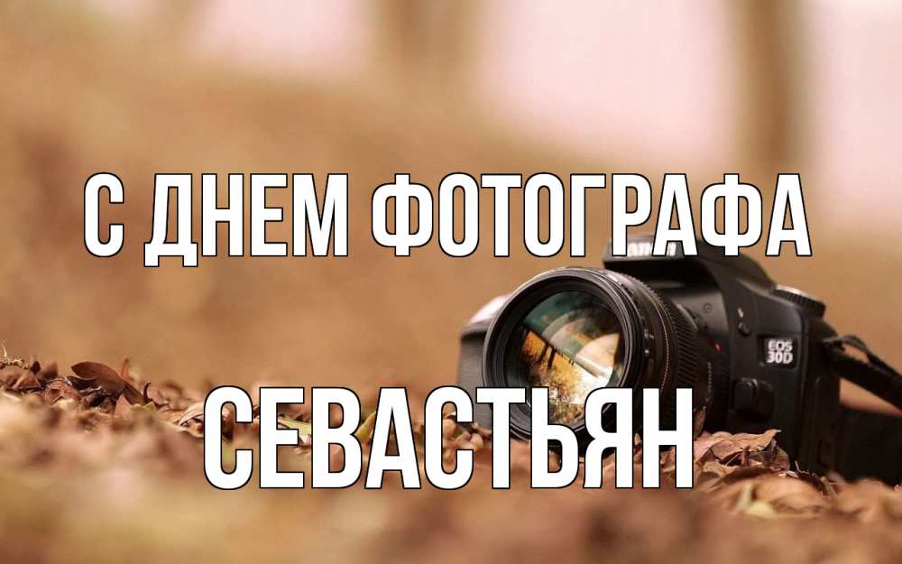 Открытка на каждый день с именем, Севастьян С днем фотографа с днем фотографа Прикольная открытка с пожеланием онлайн скачать бесплатно 