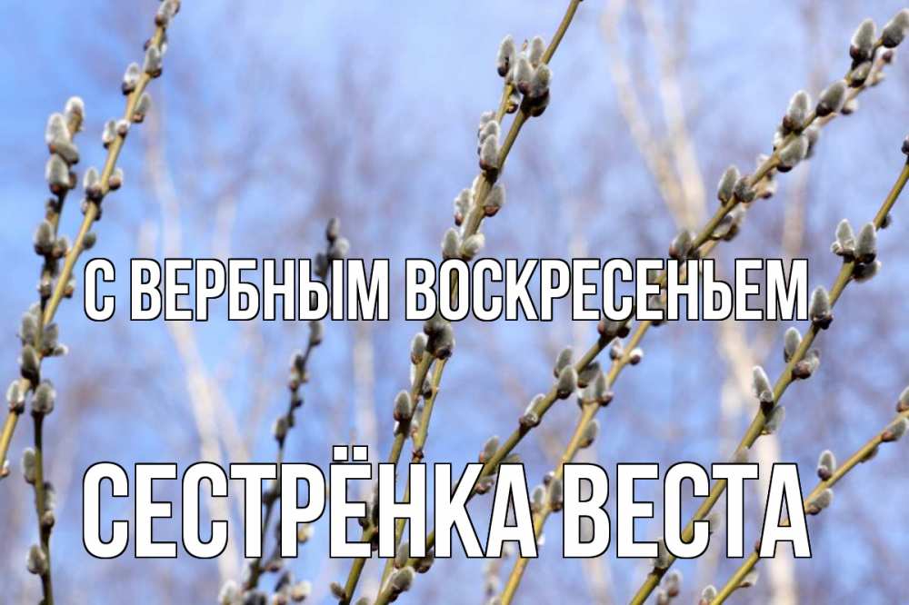Открытка на каждый день с именем, Сестрёнка-Веста С вербным воскресеньем верба Прикольная открытка с пожеланием онлайн скачать бесплатно 