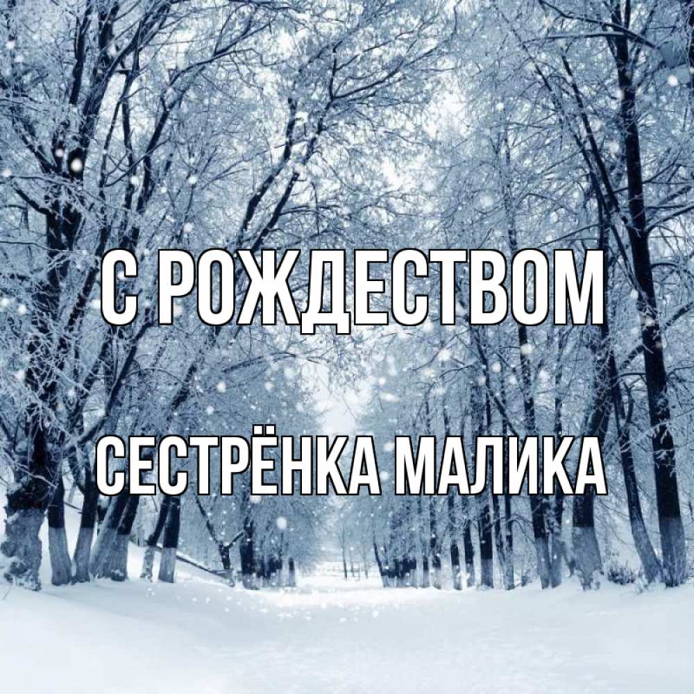 Открытка на каждый день с именем, Сестрёнка-Малика С рождеством снег, лес, парк Прикольная открытка с пожеланием онлайн скачать бесплатно 