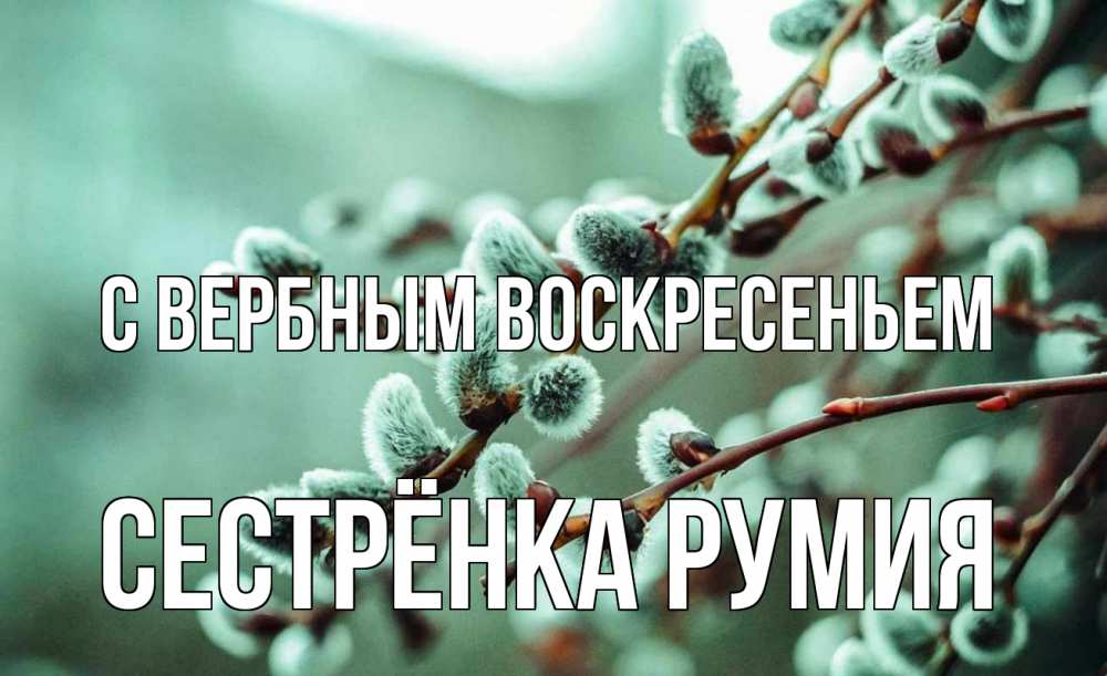 Открытка на каждый день с именем, Сестрёнка-Румия С вербным воскресеньем верба Прикольная открытка с пожеланием онлайн скачать бесплатно 