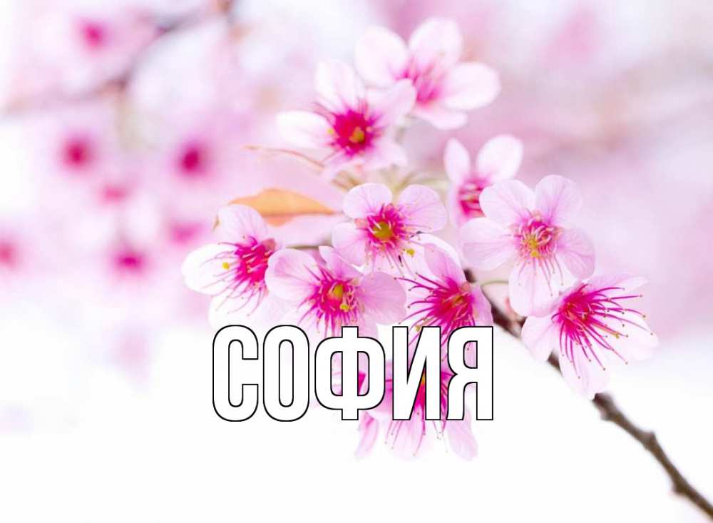 Открытка на каждый день с именем, София Главная С 1 мая 2 Прикольная открытка с пожеланием онлайн скачать бесплатно 