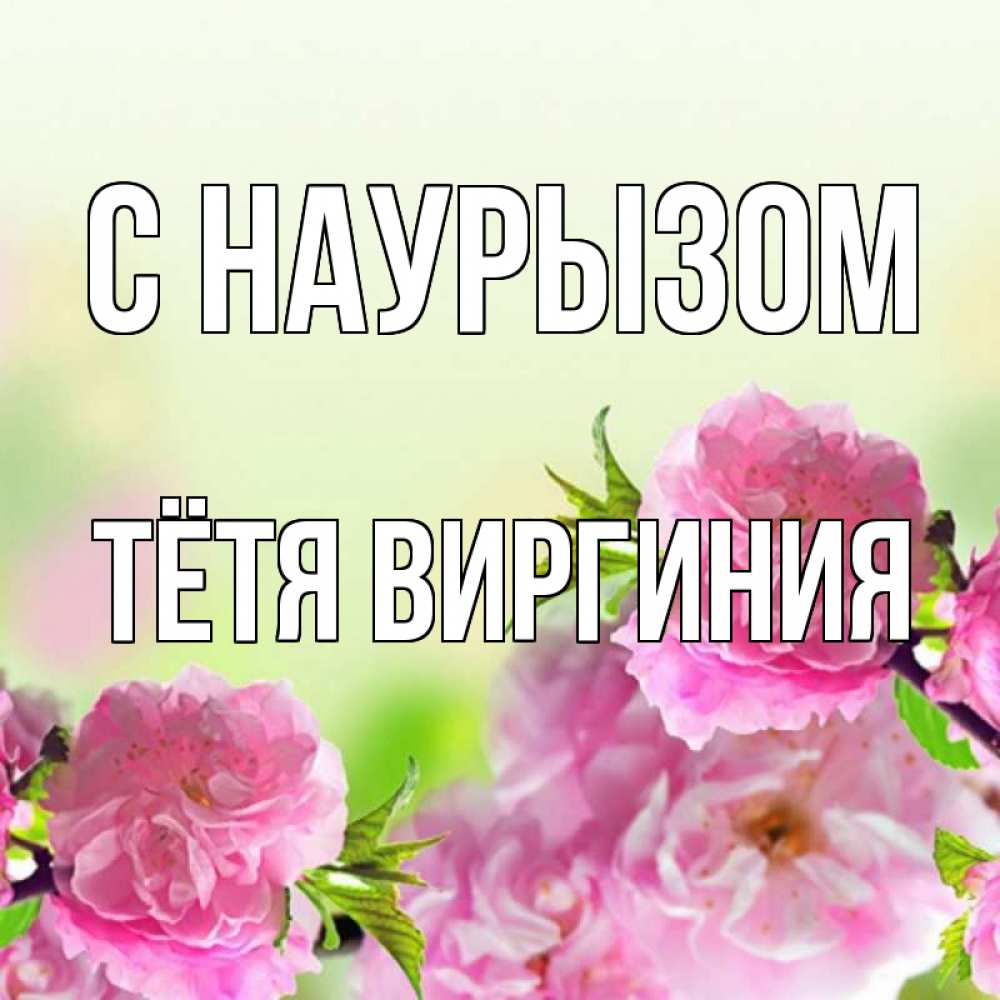 Открытка на каждый день с именем, Тётя-Виргиния С наурызом цветы Прикольная открытка с пожеланием онлайн скачать бесплатно 
