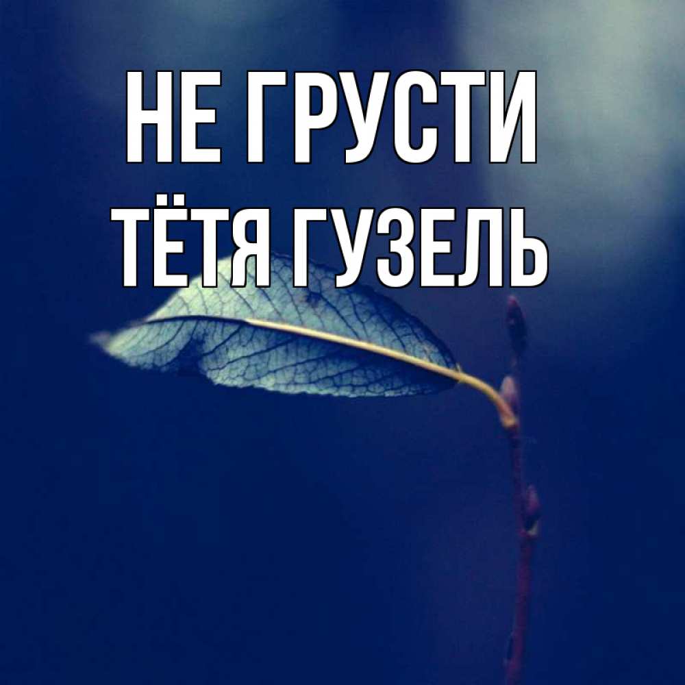 Открытка на каждый день с именем, Тётя-Гузель Не грусти растение Прикольная открытка с пожеланием онлайн скачать бесплатно 