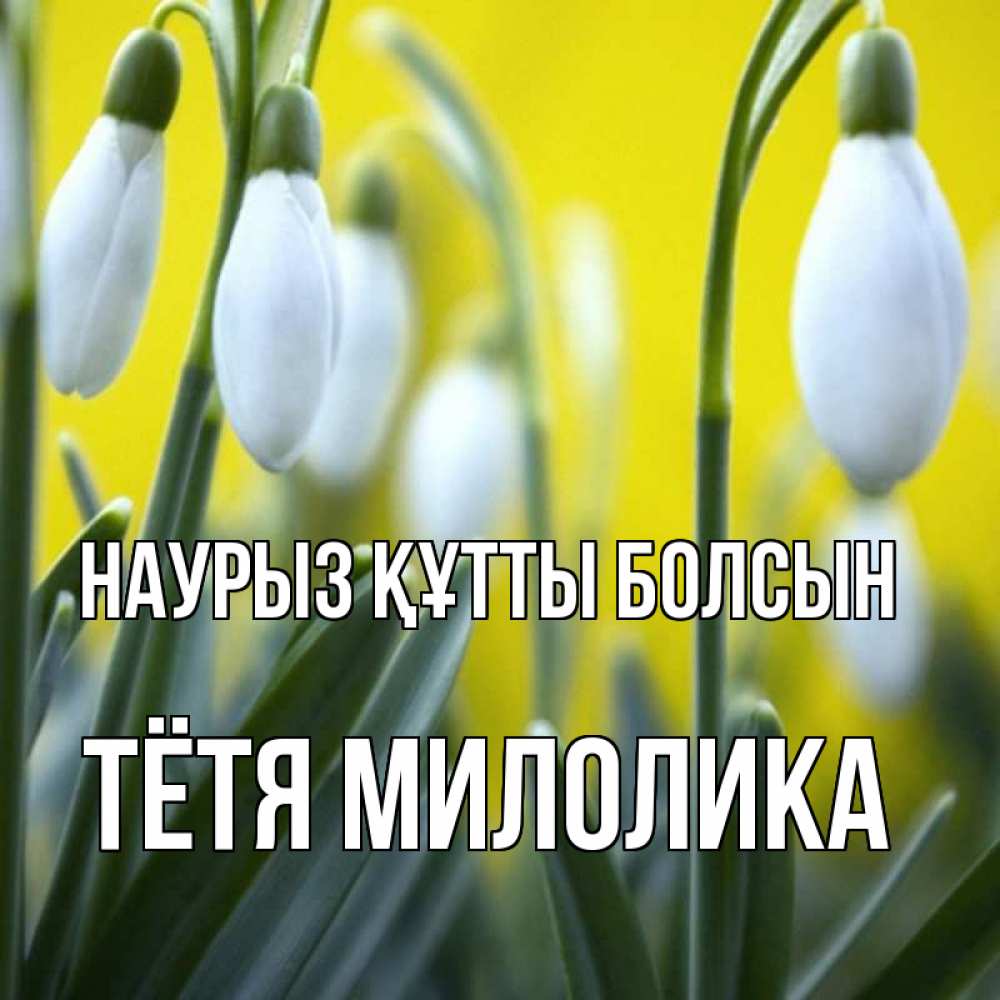 Открытка на каждый день с именем, Тётя-Милолика Наурыз құтты болсын весенние цветы Прикольная открытка с пожеланием онлайн скачать бесплатно 