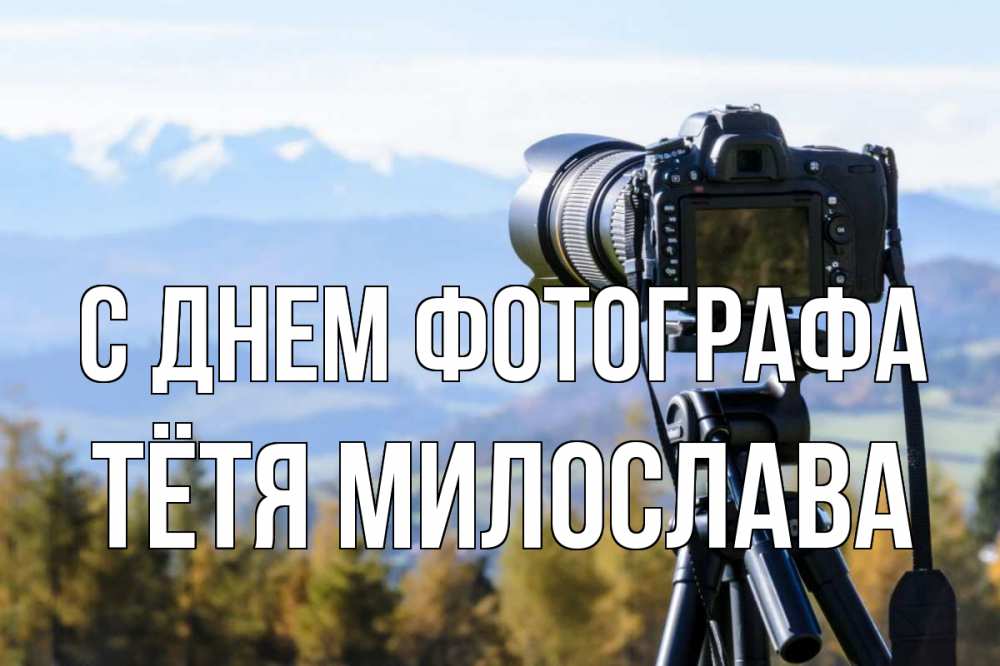 Открытка на каждый день с именем, Тётя-Милослава С днем фотографа с днем фотографа Прикольная открытка с пожеланием онлайн скачать бесплатно 