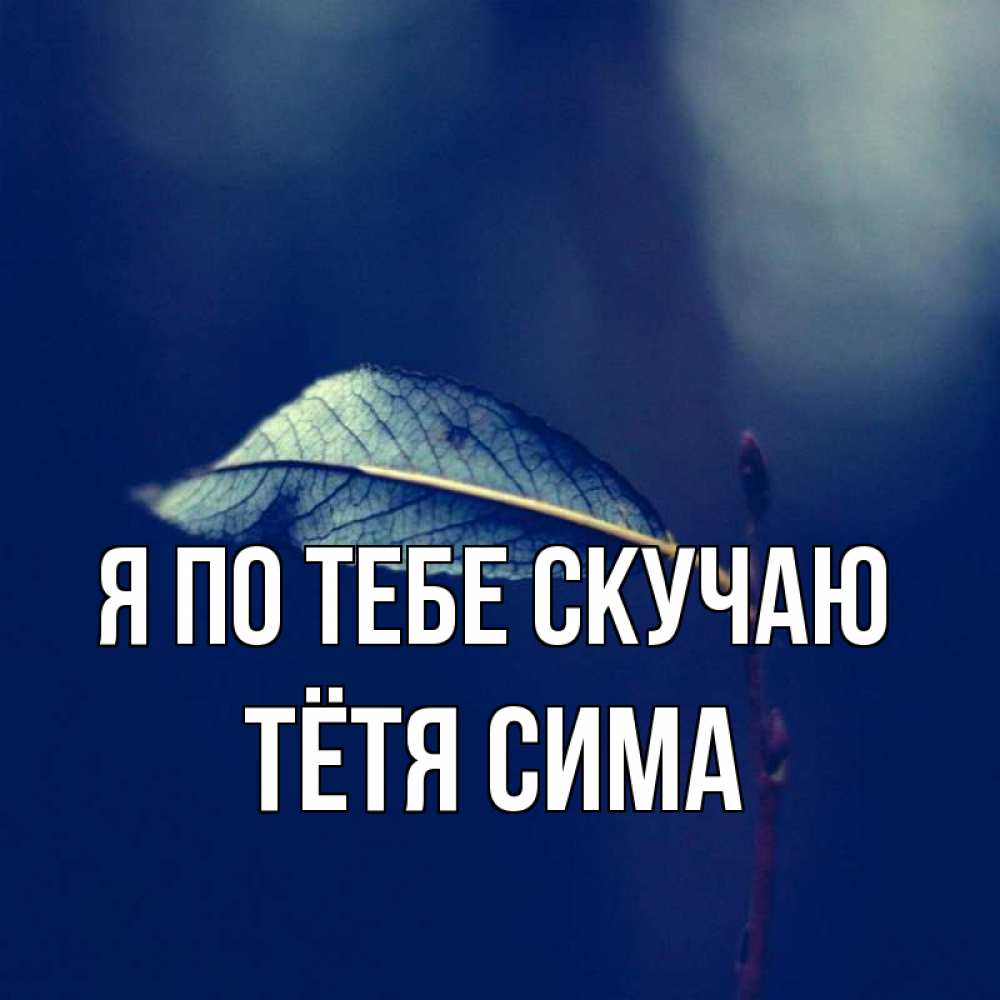 Открытка на каждый день с именем, Тётя-Сима Я по тебе скучаю одна ветка 1 Прикольная открытка с пожеланием онлайн скачать бесплатно 