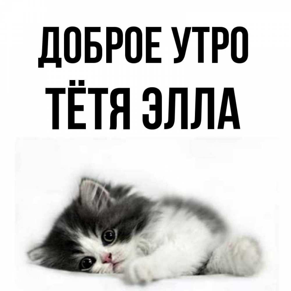 Открытка на каждый день с именем, Тётя-Элла Доброе утро кот лапки Прикольная открытка с пожеланием онлайн скачать бесплатно 
