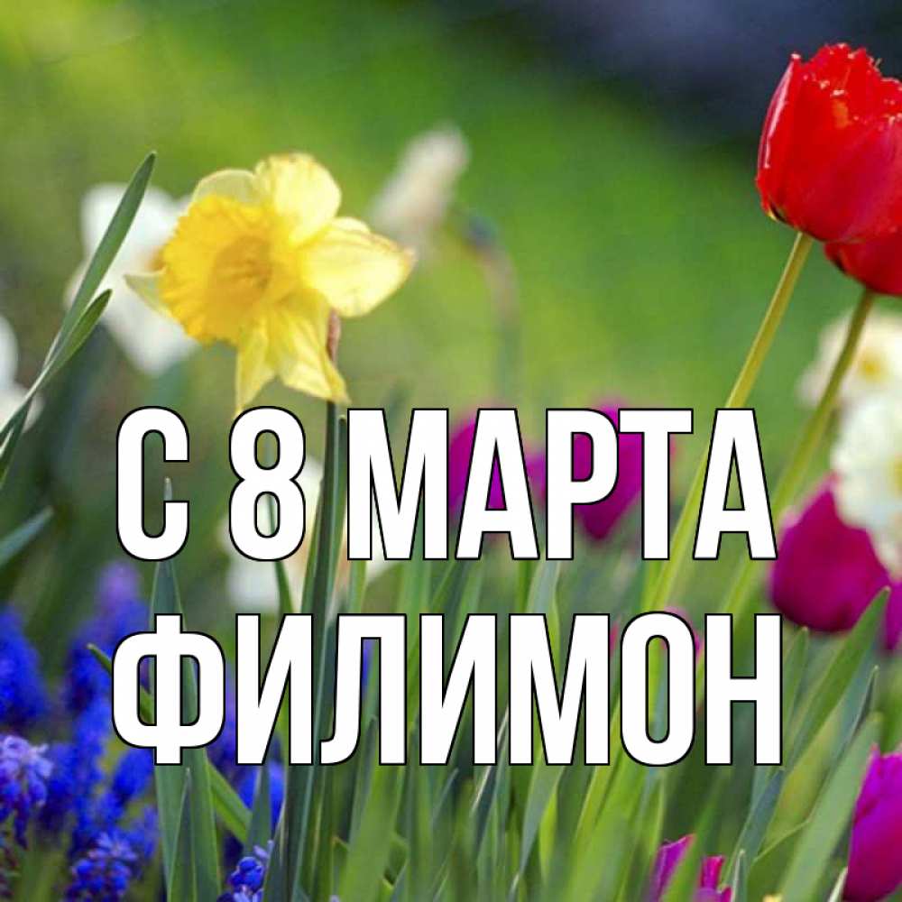 Открытка на каждый день с именем, Филимон С 8 марта международный женский день 3 Прикольная открытка с пожеланием онлайн скачать бесплатно 