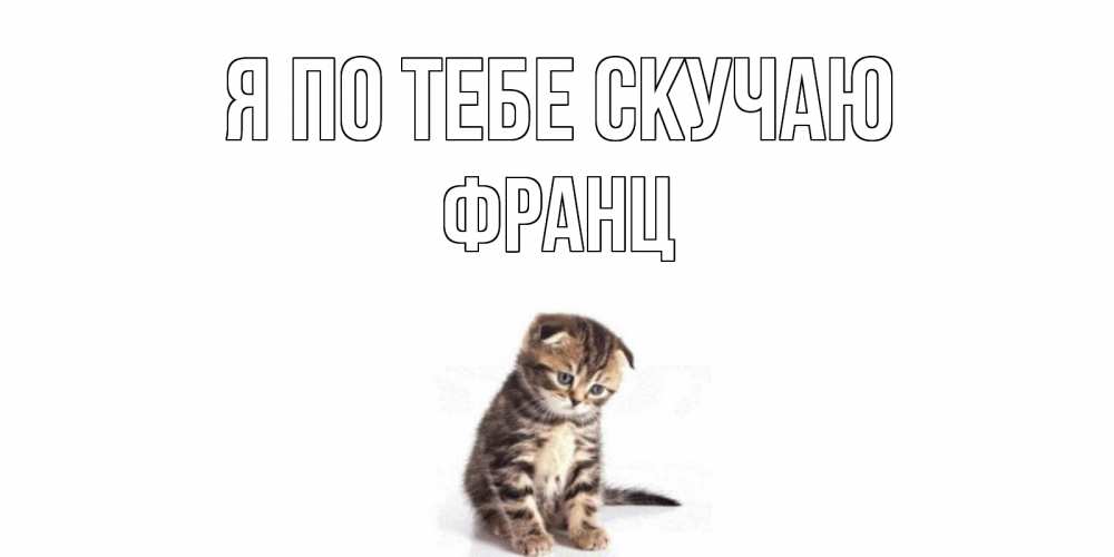 Открытка на каждый день с именем, Франц Я по тебе скучаю кот Прикольная открытка с пожеланием онлайн скачать бесплатно 