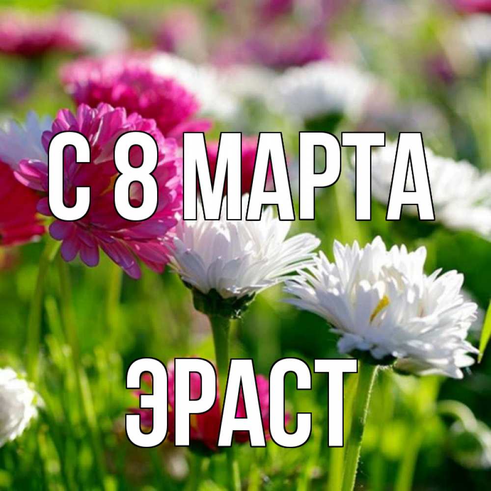 Открытка на каждый день с именем, Эраст С 8 МАРТА международный женский день 1 Прикольная открытка с пожеланием онлайн скачать бесплатно 