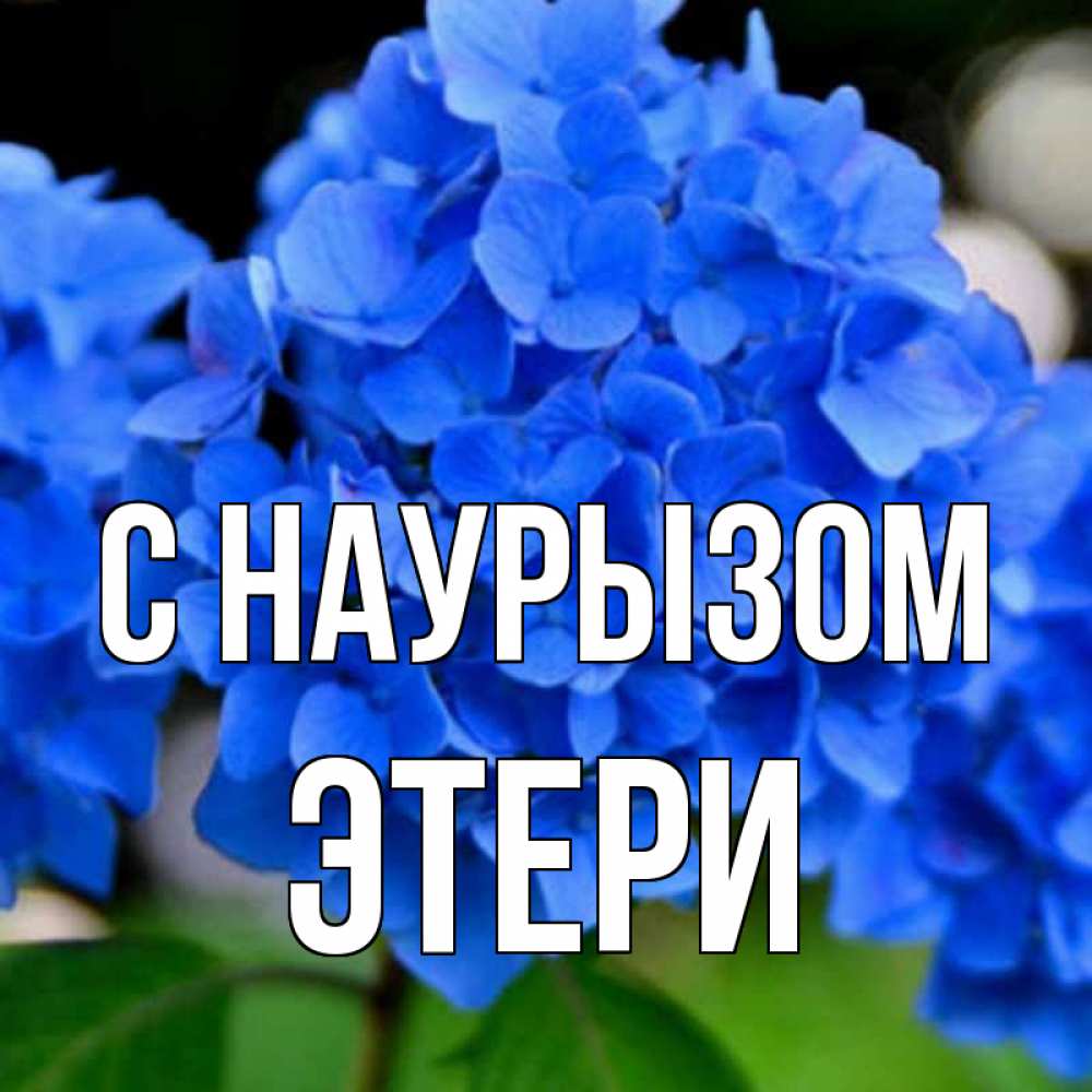 Открытка на каждый день с именем, Этери С наурызом синие цветы Прикольная открытка с пожеланием онлайн скачать бесплатно 