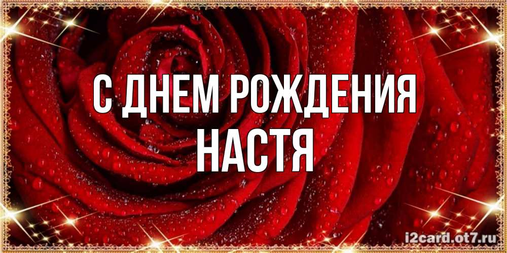 Открытка на каждый день с именем, настя С днем рождения роса на розе блестящая в лучах солнца Прикольная открытка с пожеланием онлайн скачать бесплатно 
