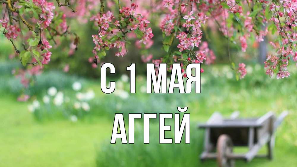 Открытка на каждый день с именем, Аггей С 1 мая С 1 мая Прикольная открытка с пожеланием онлайн скачать бесплатно 