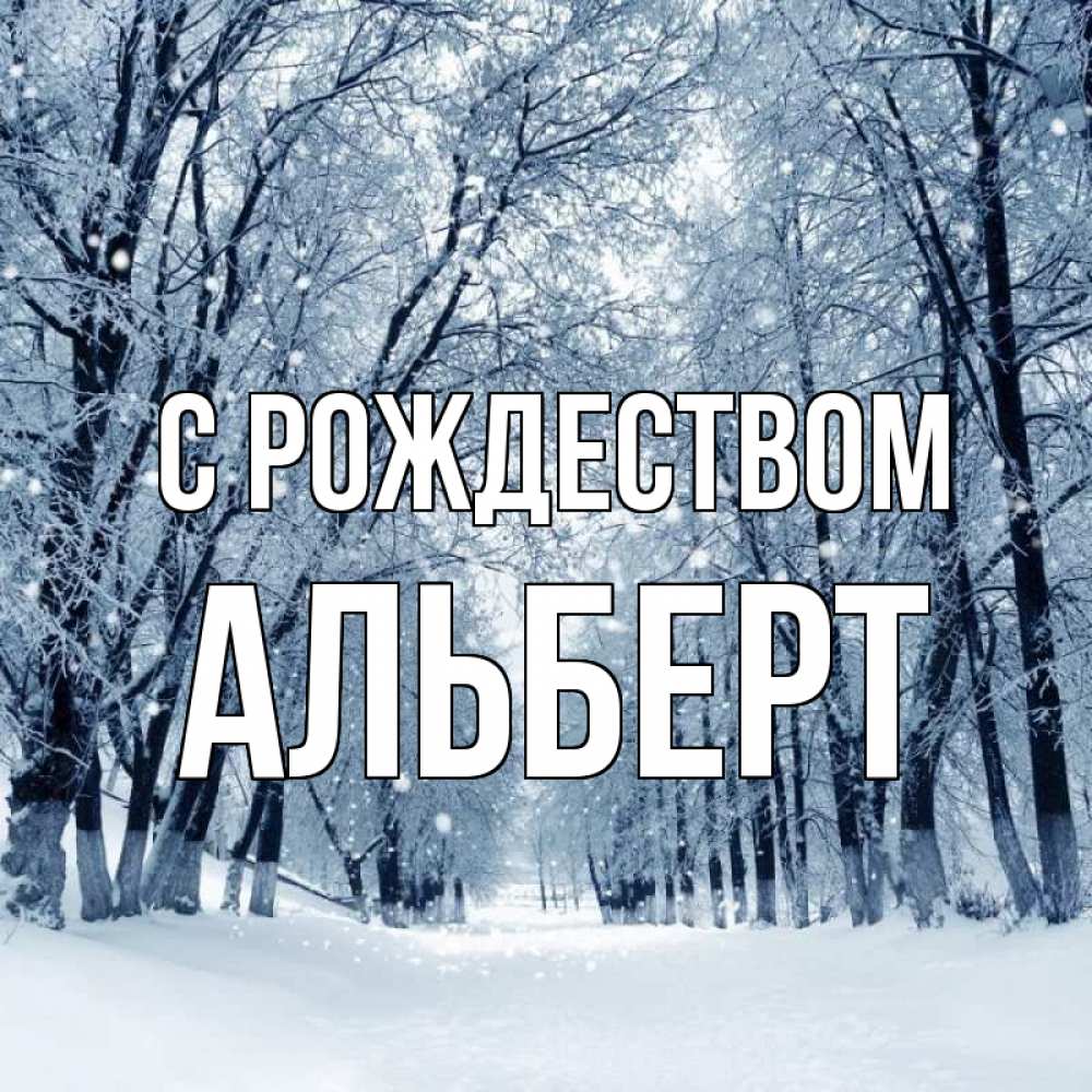 Открытка на каждый день с именем, Альберт С рождеством снег, лес, парк Прикольная открытка с пожеланием онлайн скачать бесплатно 
