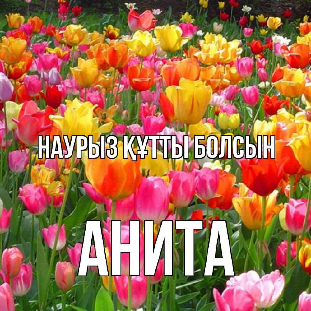 Открытка на каждый день с именем, Анита Наурыз құтты болсын на наурыз  ура ура Прикольная открытка с пожеланием онлайн скачать бесплатно 